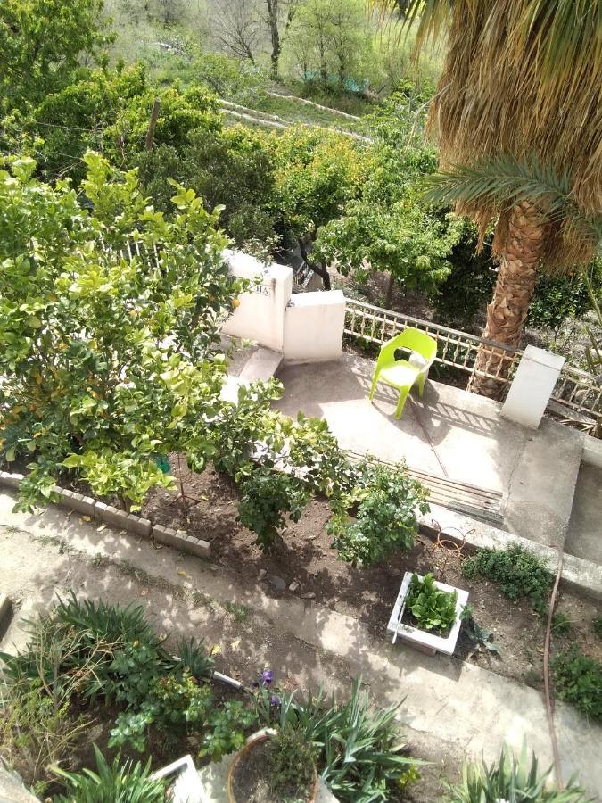 La Flecha Hostel Abrucena Bagian luar foto